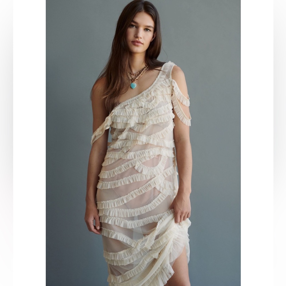 Urban Outfitters Sheer Ruffle Dress
